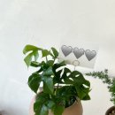 벌트