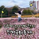 야생화단지내 | [연애일기]인천 드림파크 야생화단지 국화축제! 가을 산책 즐기기 :)