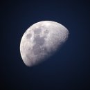 달 - 보성군 충의로 216 | 달