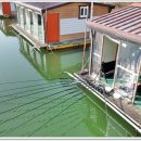 삼인낚시터 이미지