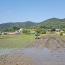 푸른솔 농장 이미지