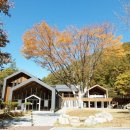 유명산자연휴양림 티스토리