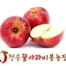 비봉농장 이미지
