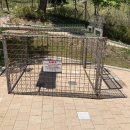 들개농장 이미지