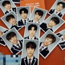 스쿨룩스;동
