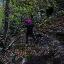 하루와이틀 이미지