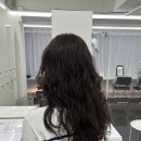 꽁뜨 이미지