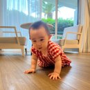 스튜디오 하이랜딩 | [육아일지]9개월 아기랑 그랜드조선제주 디럭스 가든뷰_아기용품 대여 및 키즈클럽 사용후기