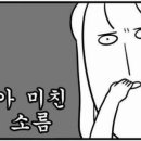 쉐프스 스토리 이미지