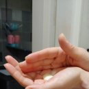 이후헤어필 | 노워시 바르는 트리트먼트 헤어필3x 사용이 너무 편해요~