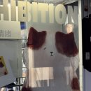 동백마실&참치마켓 | [대만/가오슝 여행] 보얼예술특구 구경 + 플리마켓 쇼핑