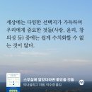 티나하우스 네이버블로그