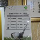 오펠 스크린골프 네이버블로그