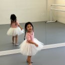 별장식 | 발레 처음 시작하는 여아를 위한 유아 발레복, 봉솔레아 튜튜 50%세일 정보