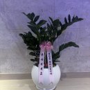 전통풋샵 | [ 경기도마사지 추천 ] 보정전통풋샵 방문 후기!!