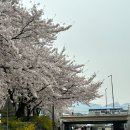 (주)롯데리아 수유역점 | [수유] 신상 칠리징거버거 &amp; 진리의 징거타워버거 후기 &#39;KFC 수유역&#39;