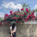 고도리정육식당 | 경주 1박2일 여행 기록 ⁽ ¨̮⁾⁽¨̮ ⁾*˚‧♡