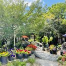 장수촌가든 이미지