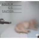 해든동물병원 이미지