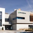 왕배푸른숲도서관 이미지