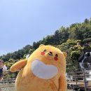 안산시자살예방센터 | 안산시자살예방센터 "살구를 찾아라!" 캠페인