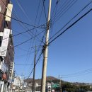 나홀로 묵호여행, 나홀로 대전여행 -2- (성심당 꿀팁, 성심당 저녁8시방문 후기)