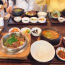 [주간일기] 사람보다 고양이가 많이 나오는 5월 넷째 주 일상