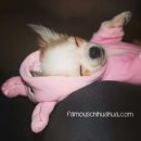 다현어린이집 | 네가 웃는 소리에 왜 갑자기 바람에선 겨울 향기가 나?