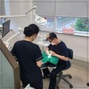 이탑치과의원 | 교정, 내 치아에 꼭 필요한 이유와 관리법