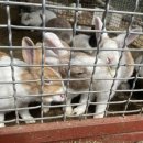 다솔 | 거제시 학생승마 지원사업 후기｜초등학생 4학년 승마체험 후기 다솔승마장