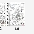 페이지323