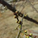 화니농장 이미지