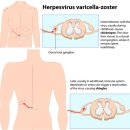 (주)대상군 이미지