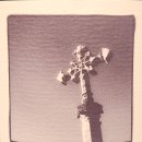 홀리 그레일 (holy grail)