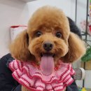 클로에 살롱 이미지