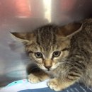 공덕119안전센터 이미지