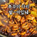 충남전파사 | 천안 백석동 맛집 식당 추천 점심 먹기 좋은 불나는쭈꾸미