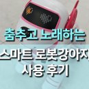 가성비 스마트 로봇 강아지 사용 후기, 노래하고 춤추는 우리 집 귀여운 친구!