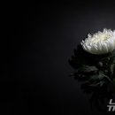 큰길장례문화원 이미지