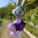 사라앤마르코 이미지