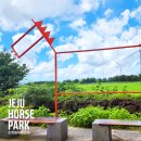 이산 옹고집 농어촌 체험휴양마을 | 제주 말타기 체험 조랑말체험공원 제주도 서귀포아이승마 말타기