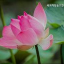 안심협동조합 이미지