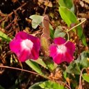 상계교 화장실 이미지