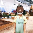 리틀포시즌 이미지