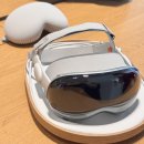 비전(Vision- | 애플 비전프로 Apple Vision Pro 체험 후기 애플 비전프로 데모 후기 예약 Apple 강남 애플스토어 강남...