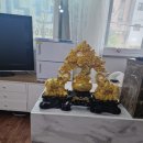 중국 정통 발관리