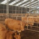 만나한우농장 이미지