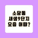 소담동 새샘9단지 중흥 S 클래스 리버뷰 아파트 최근 매매 전세 요즘 어때?