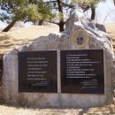 남양1천 이미지