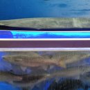 충무활어횟집 | 권선구 회 맛집 수원 권선동 충무수산: 신선한 회의 참맛